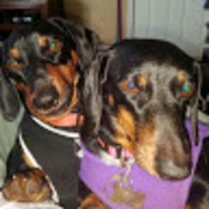 Meet your Posher, Stacey